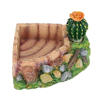 Amazon | 爬虫類 水入れ 爬虫類 餌入れ ウォーターディッシュ お